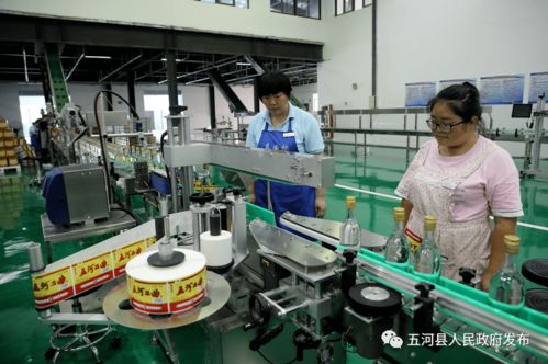 安徽淮酒新廠正式啟用，開啟酒類經營新篇章